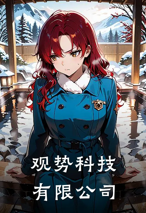 观势科技有限公司