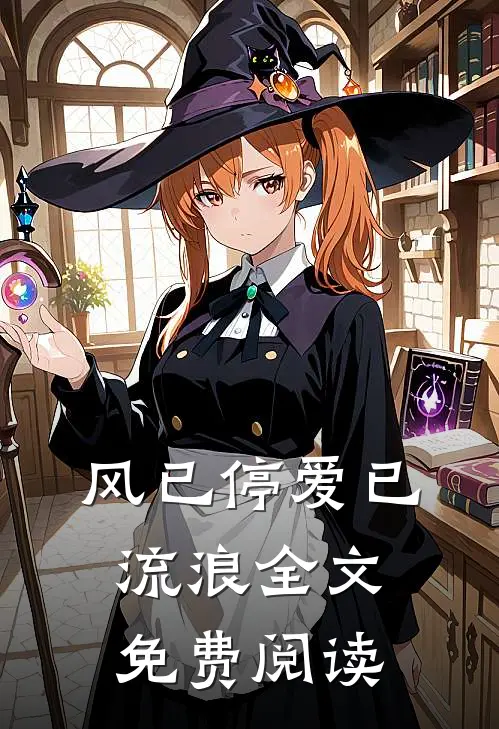 风已停爱已流浪全文免费阅读