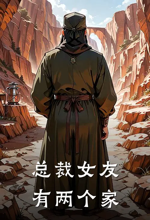 总裁女友有两个家